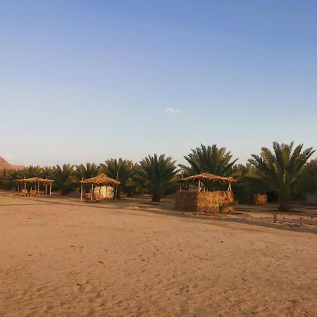Almazham Camp Resort El-Ula Dış mekan fotoğraf