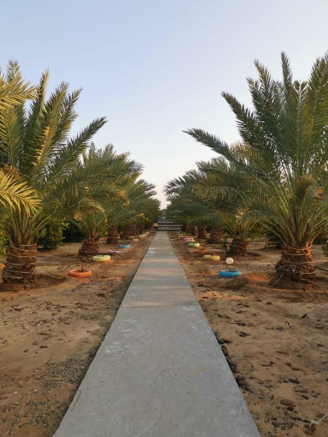 Almazham Camp Resort El-Ula Dış mekan fotoğraf