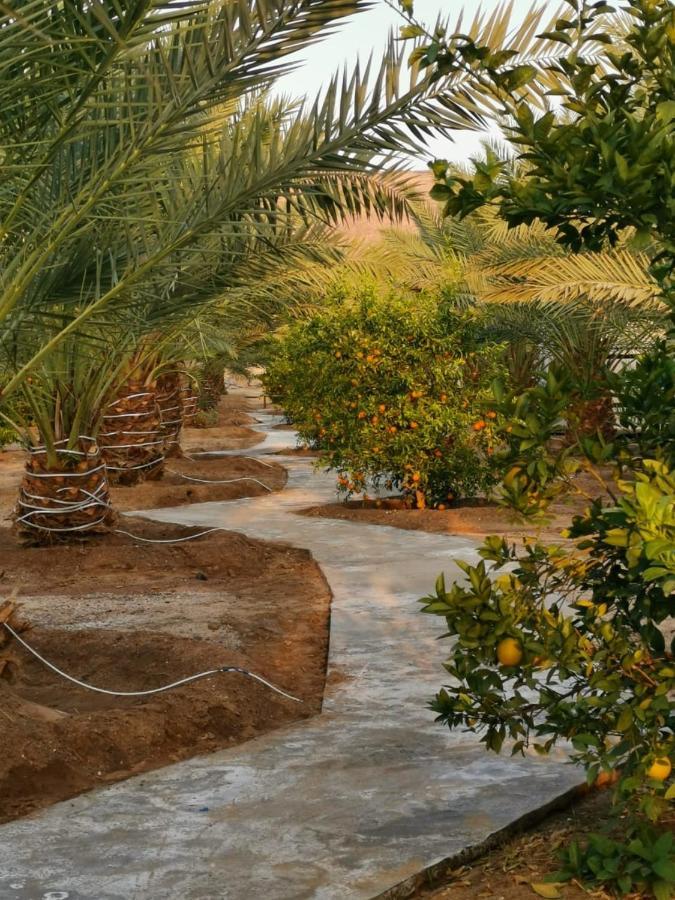 Almazham Camp Resort El-Ula Dış mekan fotoğraf