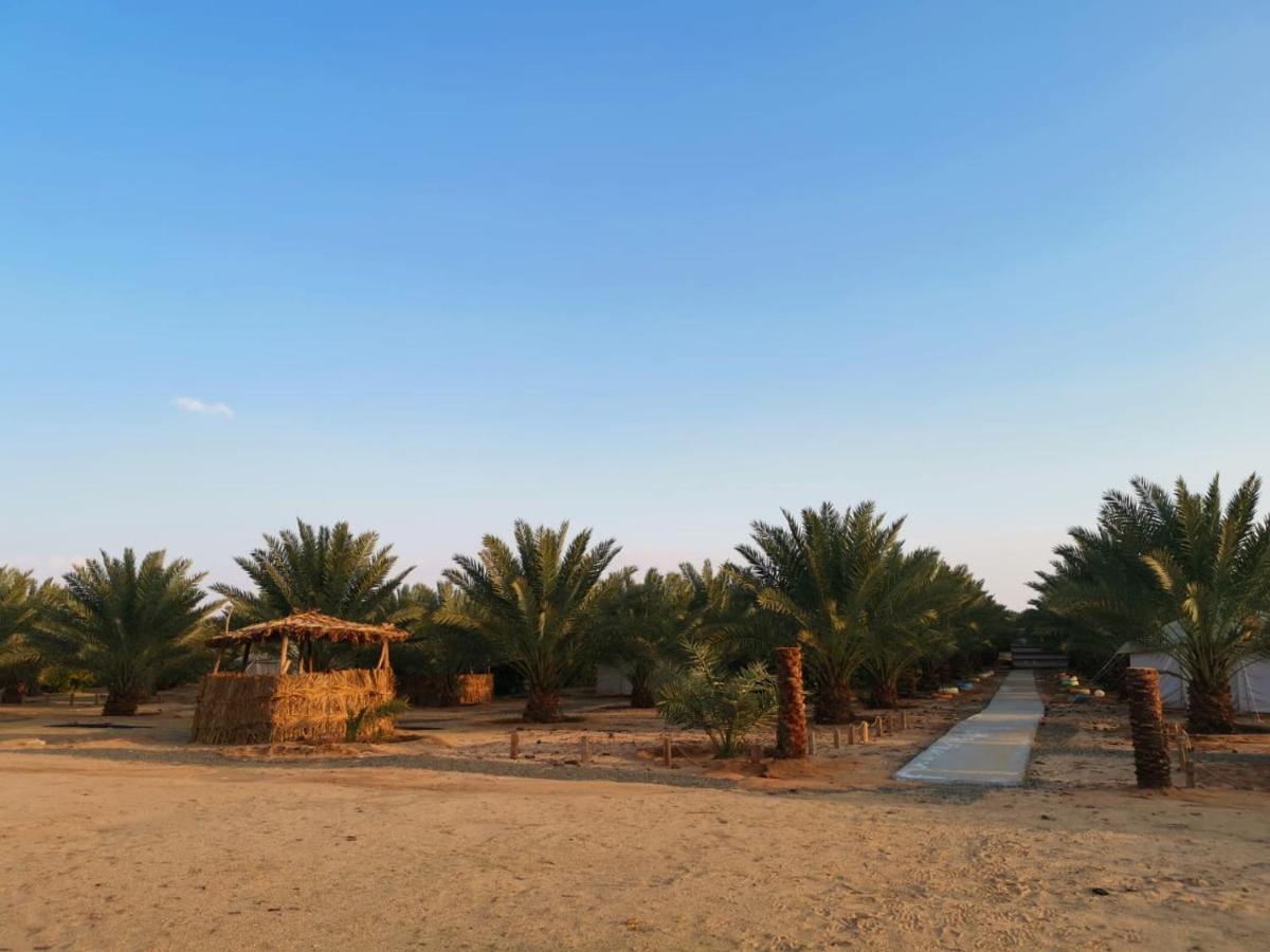 Almazham Camp Resort El-Ula Dış mekan fotoğraf