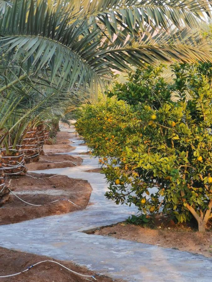 Almazham Camp Resort El-Ula Dış mekan fotoğraf